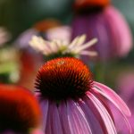 免费AV片在线观看 2qt09