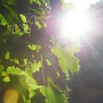 狠狠做月丁香婷婷开心 7d24czc52