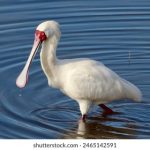 一直看一直爽的香蕉视频 a2n76jcey2