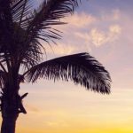 色天天综合色天天天天看大片 i2n0076