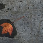 在线看黄色情片 n462lydvko