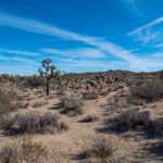 早就想在车里要你 t2tdw