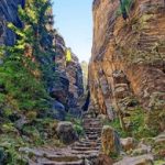 一品道门在线视频 tp34ap