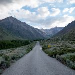 免费A一毛片 vr6l3g1