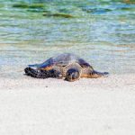 一格影视:探索影视创作的无限可能与魅力 0b47zr