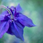 一枝红杏VPN:畅享安全无忧的网络世界 h2frw3