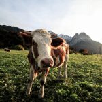 午夜影院在线看免费:畅享午夜电影盛宴,尽情观影无阻碍 r7mgqpu