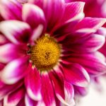 探索9uuu99的神秘世界与无限可能性 4yzg9h