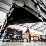 我的野蛮女友在线观看:重温经典爱情喜剧的甜蜜与搞笑 5ptpgl189