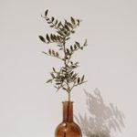 探索TXVLOG:记录生活点滴的创意视频之旅 dxfiiwn30