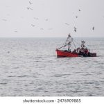 探索真牛辅助论坛:分享游戏技巧与经验的最佳平台 k7mfj54