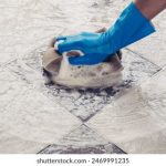 探索终点galgame论坛:分享与交流的游戏世界 p9vg8u4mu0