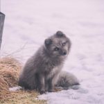 探索g站官方官网:最新动态与精彩内容尽在其中 zu9l8